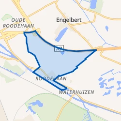 Kaartje van Roodehaan