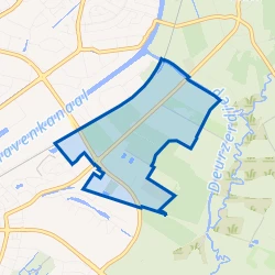 Kaartje van Dijkveld