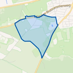Kaart van IJzeren veld