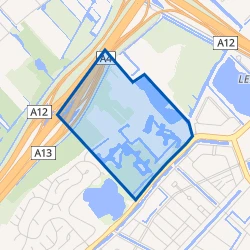 Kaartje van Tedingerbroek