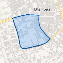 Kaart van Grauwe Polder 1