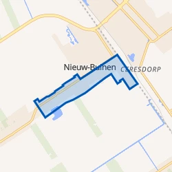 Kaart van Nieuw-Buinen Oost
