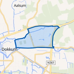 Kaart van Dokkum Fugellan