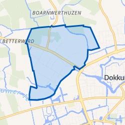 Kaart van Dokkum Betterwird